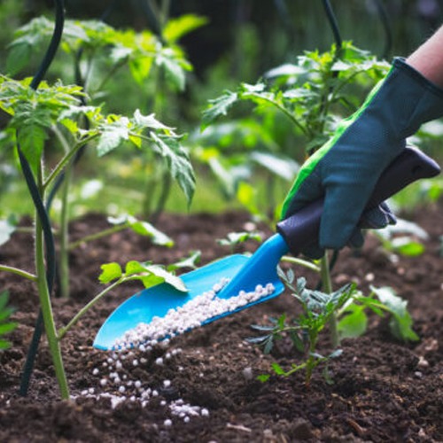Fertilizers