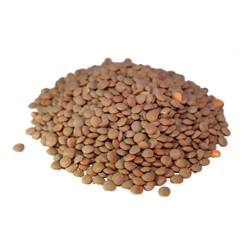 Brown Lentils