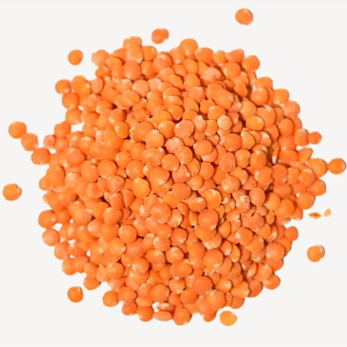 Red Lentils