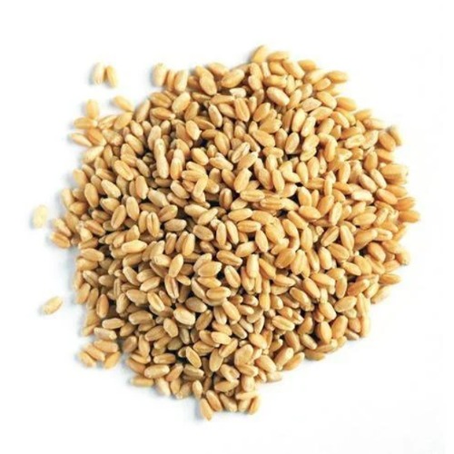 Soft wheat