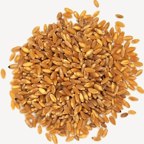 Durum