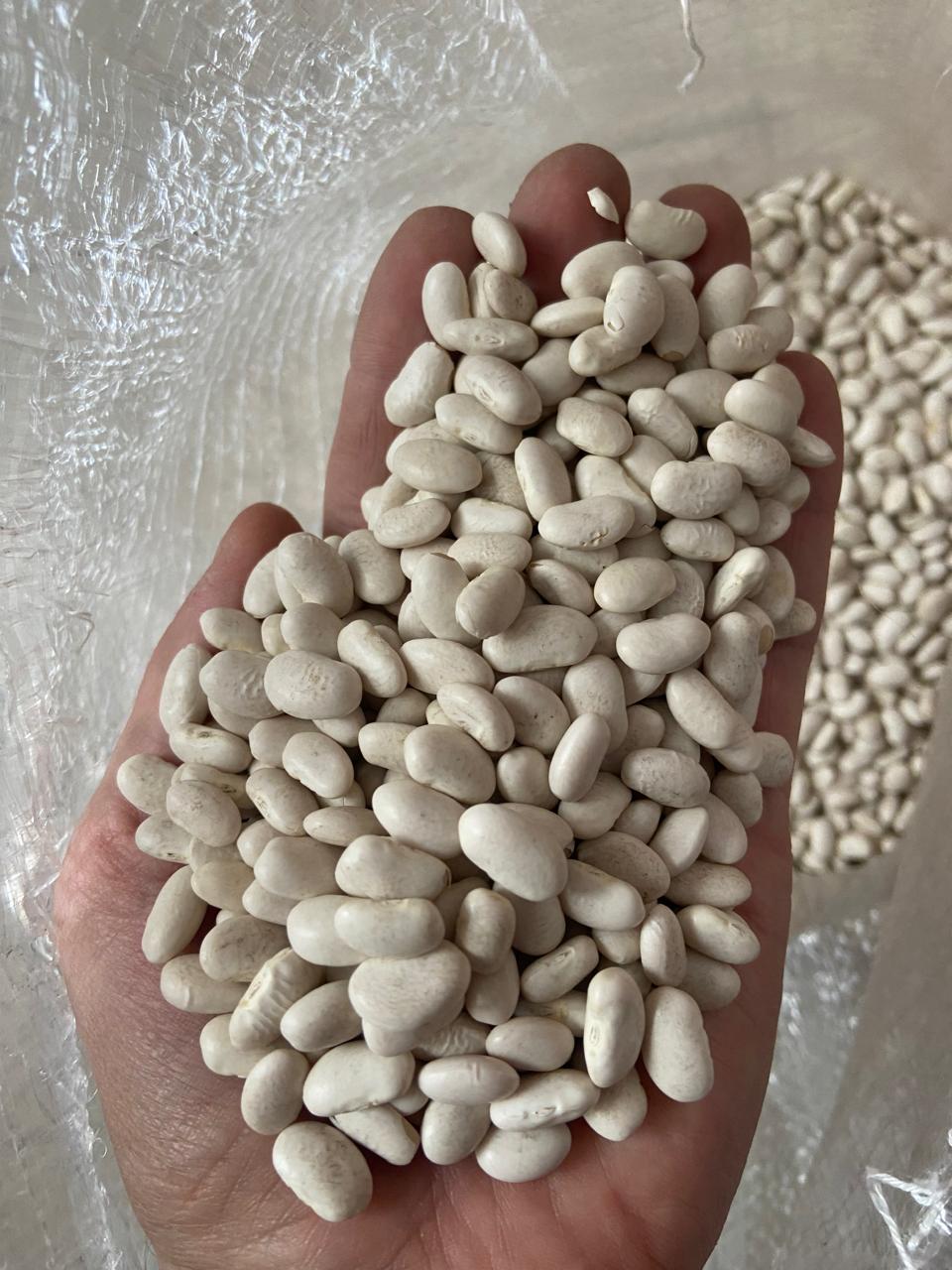 White Beans